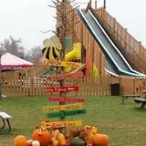 Boyd Orchards photo