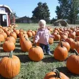 Boyd Orchards photo