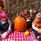 Boyd Orchards photo