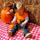 Boyd Orchards photo