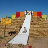 Boyd Orchards photo