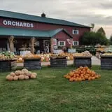 Boyd Orchards photo