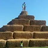 Boyd Orchards photo