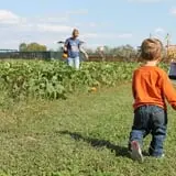 Boyd Orchards photo