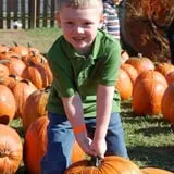 Boyd Orchards photo