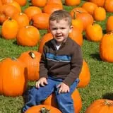 Boyd Orchards photo