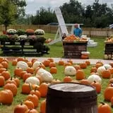 Boyd Orchards photo