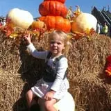 Boyd Orchards photo