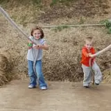 Boyd Orchards photo
