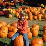 Boyd Orchards photo