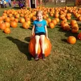 Boyd Orchards photo