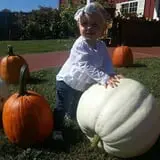 Boyd Orchards photo