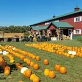 Boyd Orchards photo