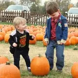 Boyd Orchards photo