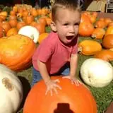 Boyd Orchards photo