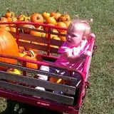 Boyd Orchards photo