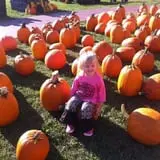 Boyd Orchards photo