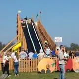 Boyd Orchards photo