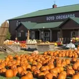 Boyd Orchards photo