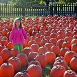 Boyd Orchards photo