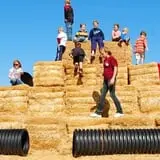 Boyd Orchards photo