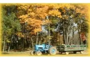 Cheeseman Farm Pumpkin Festival