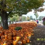 Iron Kettle Farm photo