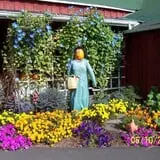 Iron Kettle Farm photo