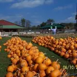 Iron Kettle Farm photo