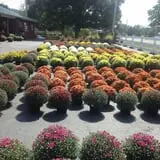Iron Kettle Farm photo