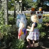 Iron Kettle Farm photo