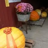 Iron Kettle Farm photo