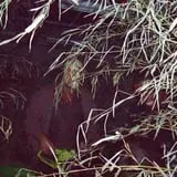 Haunted Hotel of Arkansas, Inc photo