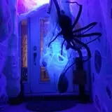 Moaning Acres Home Haunt photo