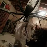 Moaning Acres Home Haunt photo
