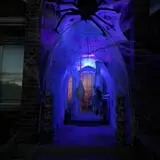 Moaning Acres Home Haunt photo