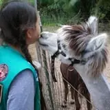 Johansen Farms Children's Zoo, Pumpkin Patch & Fall Festival photo