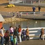 Johansen Farms Children's Zoo, Pumpkin Patch & Fall Festival photo