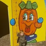 Johansen Farms Children's Zoo, Pumpkin Patch & Fall Festival photo