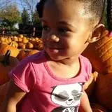 Johansen Farms Children's Zoo, Pumpkin Patch & Fall Festival photo
