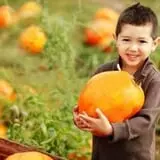 Johansen Farms Children's Zoo, Pumpkin Patch & Fall Festival photo