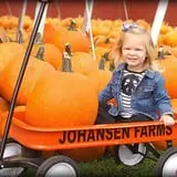 Johansen Farms Children's Zoo, Pumpkin Patch & Fall Festival photo
