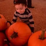 Johansen Farms Children's Zoo, Pumpkin Patch & Fall Festival photo
