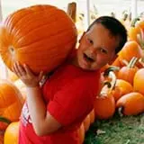 Johansen Farms Children's Zoo, Pumpkin Patch & Fall Festival photo