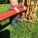 Johansen Farms Children's Zoo, Pumpkin Patch & Fall Festival photo