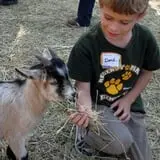 Johansen Farms Children's Zoo, Pumpkin Patch & Fall Festival photo