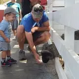Johansen Farms Children's Zoo, Pumpkin Patch & Fall Festival photo