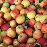 Johansen Farms Children's Zoo, Pumpkin Patch & Fall Festival photo