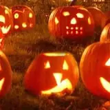 Johansen Farms Children's Zoo, Pumpkin Patch & Fall Festival photo