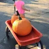 Johansen Farms Children's Zoo, Pumpkin Patch & Fall Festival photo